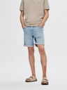 Short - Selected Homme